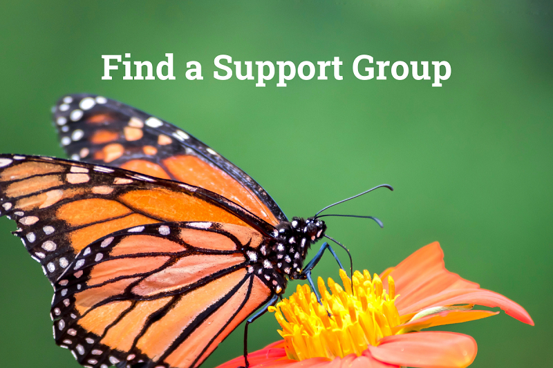 New Support Groups